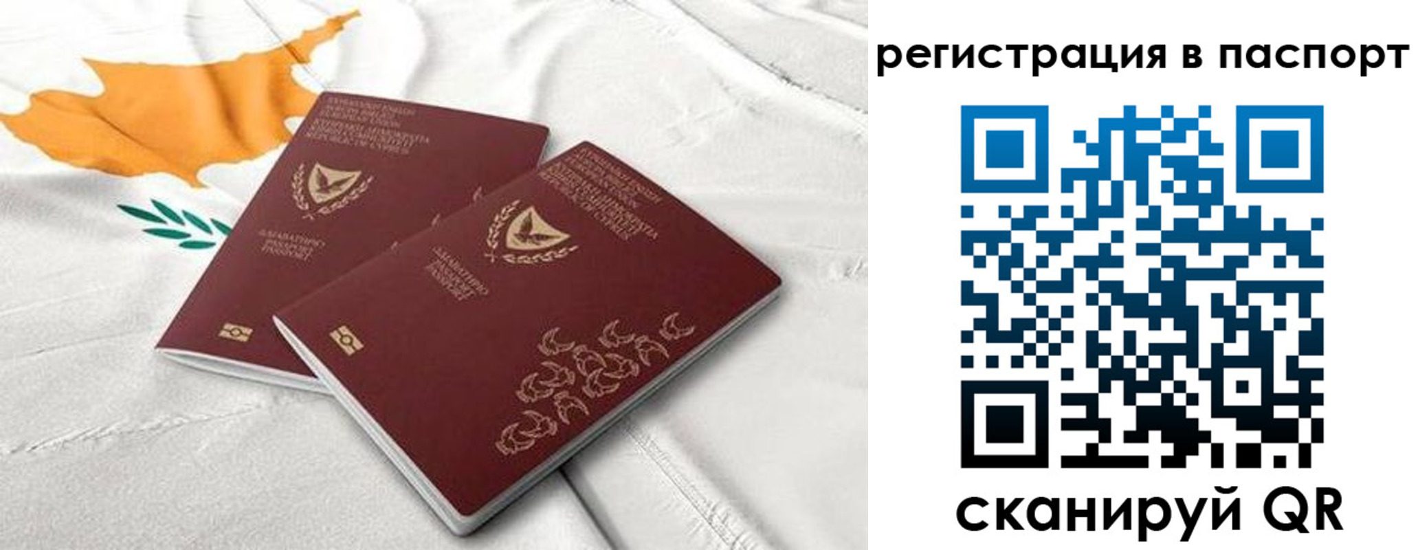 прописка штамп в Нововоронеже